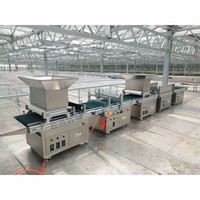 Machine à semis automatique 220V pour plateaux de semis, fleurs et légumes, la plus vendue