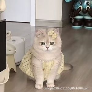 Ropa de Verano para <span class=keywords><strong>Gatos</strong></span> Princesa, Linda Falda de Fibra de Poliéster Estilo Instagram, Anti-Caída de Pelo, para <span class=keywords><strong>Gatos</strong></span> Ragdoll y <span class=keywords><strong>British</strong></span> <span class=keywords><strong>Shorthair</strong></span> - Product Image 2