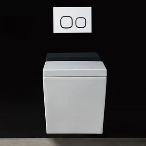 Watermark CUPC Baño Sin montura Suspendido Cerámica WC Inodoro colgado en la pared - Product Image 2