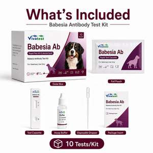 Kit de test rapide Babesia Ab pour chiens, détection sanguine des maladies transmises par les tiques chez les animaux, certifié CE Viviatest - Product Image 3