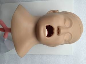 Mô hình đào tạo y tế ADA-J4A cho học sinh học đường thở của con người CPR manikin trẻ em đặt nội khí quản mô hình cho các trường học - Product Image 5