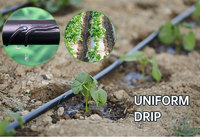 Système d'irrigation goutte à goutte 100 % plastique DN 16 mm, goutteur plat interne, bande d'irrigation goutte à goutte souterraine pour cultures en rangs