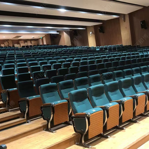 Sillas de teatro Manwa Expo HB623 de haya verde con asientos escalonados y pasamanos para auditorio escolar - Product Image 4
