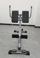 ZYFIT Machine d'extension de dossier de chaise romaine, banc avec réglage double de la hauteur d'angle, banc d'exercice arrière pour salle de sport à domicile