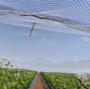 Filet <span class=keywords><strong>anti</strong></span>-grêle agricole 8MM réutilisable en plastique stabilisé aux UV pour vignobles, filet de protection contre la grêle pour la ferme - Product Image 1