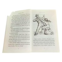 Книги оптом от Charlotte's Web: мягкая обложка, индивидуальная печать, легкая бумага, романы для взрослых, учебные пособия, цветная печать обложки.
