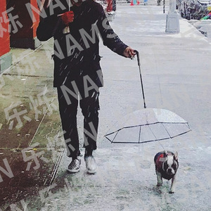 Paraguas transparente para perros, protección impermeable contra la lluvia con correa, diseño integrado, uso en todas las estaciones - Product Image 1
