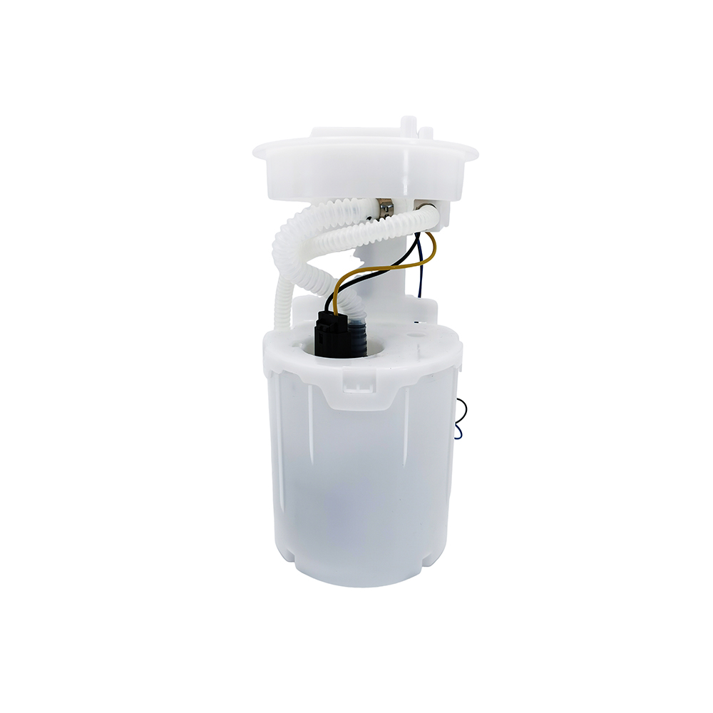 Fuel Pump Assembly for Volkswagen Jetta Beetle Golf Renault Audi 1J0919087H EFM1080401A