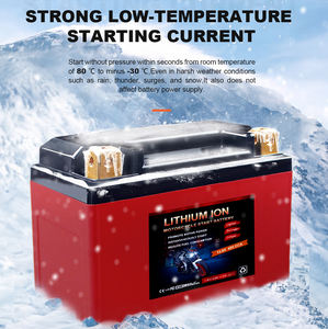 Hohe echte Kapazität Benutzer definierte 3,2 V 50Ah prismatische Lithium-Ionen-Motorrad batterie LiFePO4 - Product Image 6