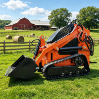Livraison Gratuite Chargeuse Compacte sur Chenilles Euro 5 CE EPA Hydraulique pour Construction et Verger, Modèle Diesel