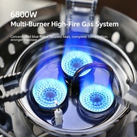 Réchaud à gaz de camping en métal durable, résistant au vent, brûleur portable, cuisinière légère pour la randonnée en plein air, les pique-niques