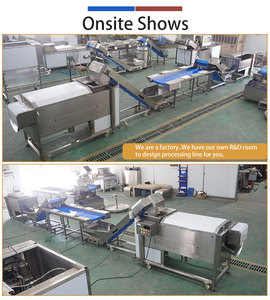 Ligne de lavage, de pelage et de découpe de carottes FENGXIANG, machines de transformation des légumes automatiques pour usage industriel - Product Image 2