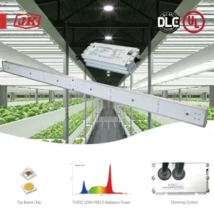 Jk Iluminação H02 Série 100w 120w 125w 150w Estufa Fazenda Planta Interna Crescente Led Light Strip Para Crescimento de Plantas Usado