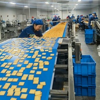 Ligne de production de biscuits automatique en acier inoxydable 304 contrôlée par PLC, nouvelle machine de boulangerie, écologique, meilleur prix