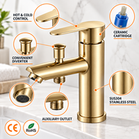 Robinet de lavabo extérieur en acier inoxydable à poignée unique de style moderne, installation facile sur le plan, eau chaude et froide, pour lavabo domestique