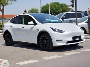 Modelo Y Long Range 2023, SUV Eléctrico Tesla - Product Image 3