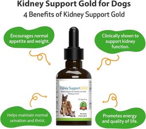 Gouttes liquides personnalisées pour le soutien rénal des animaux de compagnie, formulées avec une mélange d'extraits d'herbes douces pour aider à maintenir la santé rénale des chiens et des chats - Product Image 2