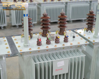 Transformateur de distribution triphasé immergé dans l'huile 35KV 500kva MV/HV