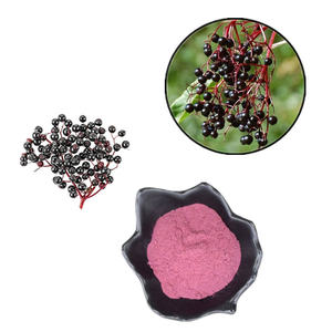 Acheter Extrait de plantes Extrait de sureau Anthocyanines près de chez moi - Product Image 3