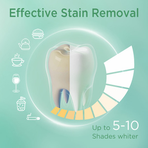 Sáng trắng tự nhiên PAP răng <span class=keywords><strong>l</strong></span>àm trắng Dải rượu-Miễn phí tùy chỉnh nhãn hiệu riêng với logo đôi trắng nhà máy <span class=keywords><strong>b</strong></span>án hàng trực tiếp - Product Image 5