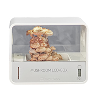 Kit de cultivo de semillas de hongos frescos