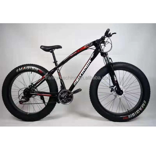 China Big Factory Good Mountain Bicycle Price Side Car E Kayo Light Led Bike