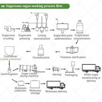 Ligne de production complète de sucre pour usine de transformation sur mesure, capacité de 50 tonnes pour le commerce du sucre