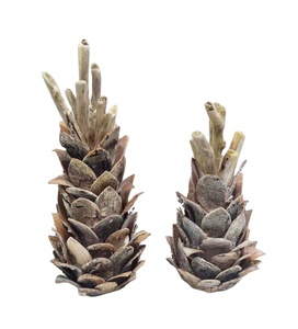 Artisanat <span class=keywords><strong>en</strong></span> <span class=keywords><strong>bois</strong></span> fait à la main décoration d'arbre de <span class=keywords><strong>bois</strong></span> <span class=keywords><strong>flotté</strong></span> de Noël pour la décoration intérieure - Product Image 6