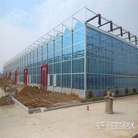 Usine de structure en acier Entrepôt préfabriqué en polycarbonate Structure en treillis en acier Construction de serres