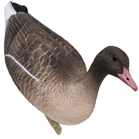 Leurres de Chasse Oies Flottants Extérieurs Personnalisables à Posture Durable et Réaliste