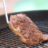 Tourne-viande en acier inoxydable ABS antidérapant pour barbecue, avec crochet, résistant à la chaleur, facile à nettoyer, qualité alimentaire, modèle de luxe
