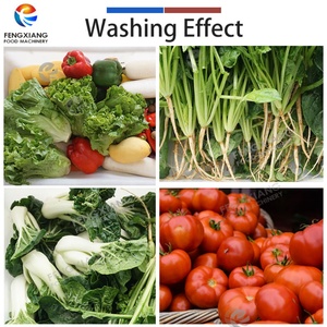 OEM & ODM <b>Bell</b> Pepper, Coriandar, Lettuce, Cucumber, Cabbage Vegetable Washing Machine with Drum - Product Image 5