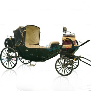 Carruaje de Lujo Personalizado de Doble Fila para Paseos, Configuraciones Confortables, Éxito de Ventas Anual, Se Convierte en un Éxito de Ventas en el Mercado - Product Image 2