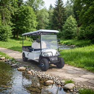 Véhicule utilitaire électrique neuf pour le tourisme et les centres de villégiature : mini-voiturette de golf électrique blanche, fournie directement par l'usine en gros - Product Image 1