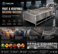 Wasmachine voor fruitexport, draagbare fruitwasmachine, wasmachine voor kunstfruit