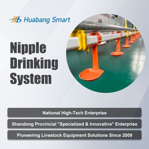 Bebedero Automático <span class=keywords><strong>para</strong></span> Pollos de Engorde y <span class=keywords><strong>Gallinas</strong></span> Ponedoras, de Acero Inoxidable 304, Modelo HBCDC-1 Huabang, <span class=keywords><strong>Precio</strong></span> de Fábrica, Nuevo - Product Image 4