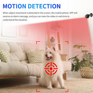 Pet kamera W02 HD <span class=keywords><strong>1080p</strong></span> CMOS H.264 açık spor akıllı kablosuz WiFi gözetim gece görüş plastik taşınabilir ev kamerası - Product Image 4