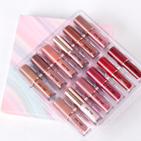 Maquillage de Noël en gros, 12 couleurs, gloss à lèvres liquide mat vegan longue durée, kit de rouge à lèvres cadeau, ensembles de gloss à lèvres personnalisés