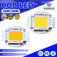 Puce LED COB à spectre complet blanc haute puissance 30W 50W 100W, diode à spectre solaire, conforme RoHS, pour éclairage de culture hydroponique intérieur