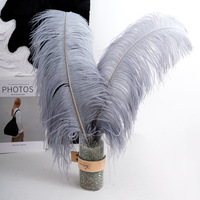 Plumes d'oiseaux colorées de 45-50 cm, d'origine sud-africaine, en véritable plume d'orange, pour décoration de carnaval, grandes plumes blanches pour la confection de chapeaux et la décoration de mariage