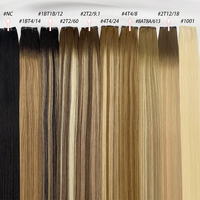 Cheveux brésiliens doux main attachée Invisible mince génie trame Extensions de cheveux Double dessiné humain vierge Remy cheveux crus naturels
