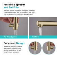 Luxe or Brossé Printemps Cuisine Robinet Pulvérisateur Robinet Mitigeur Lavabo Robinet