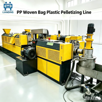 Ligne de granulation de sacs tissés en PP 100-300 kg/h avec certification CE pour la reproduction de déchets plastiques