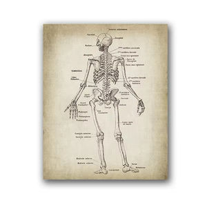 Impressions et affiches d'art d'<span class=keywords><strong>anatomie</strong></span> humaine, affiches d'<span class=keywords><strong>anatomie</strong></span> vintage peinture sur toile art mural photos décoration de clinique de médecin - Product Image 6