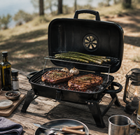 Barbecue portable pliable au charbon de bois pour le camping en plein air, la maison et les petites cours, modèle BQ151B, 4,9 kg