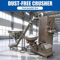 Machine à moudre la cannelle, l'anis étoilé et le cumin avec convoyeur à vis pour usine de transformation de poudres d'épices
