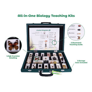 Hot Selling Taxidermie Presse Acryl Insecten Classificatie Hars Specimen Educatieve Hulpmiddelen Voor Het Lesgeven - Product Image 3