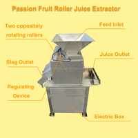 Passievruchtensapcentrifuge met capaciteit 300-500 kg, nieuw ontwerp, dubbele roller, industriële citroensapmachine
