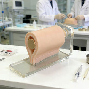 Module de formation en anesthésie par infiltration, modèle médical en PVC DARHMMY, taille humaine, durable, pour l'éducation scolaire - Product Image 3