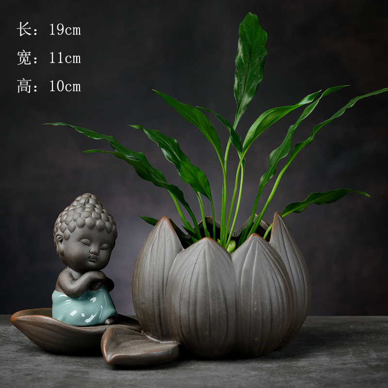 H1-meditation tathagata